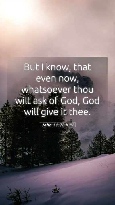 Picture 05 - John 11:22 KJV Mobile Phone Wallpaper - But I know, that even now, whatsoever thou wilt - Mobile Bible Verse Wallpaper