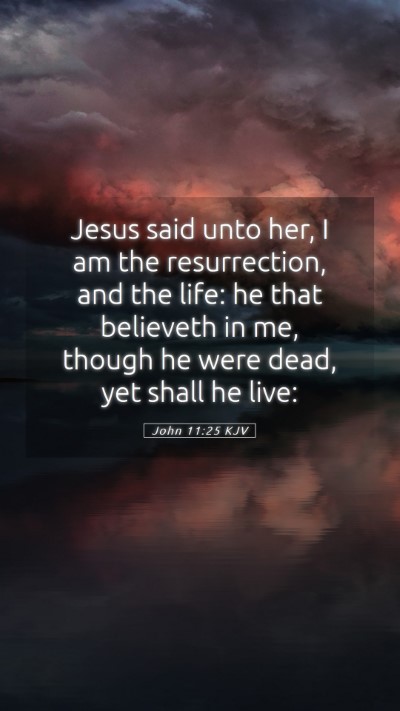Picture 05 - John 11:25 KJV Mobile Phone Wallpaper - Jesus said unto her, I am the resurrection, and - Mobile Bible Verse Wallpaper