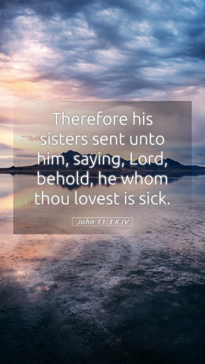 Picture 05 - John 11:3 KJV Mobile Phone Wallpaper - Therefore his sisters sent unto him, saying, - Mobile Bible Verse Wallpaper
