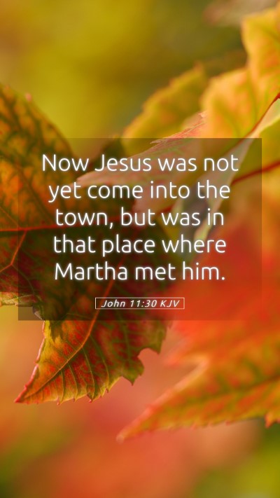 Picture 05 - John 11:30 KJV Mobile Phone Wallpaper - Now Jesus was not yet come into the town, but was - Mobile Bible Verse Wallpaper