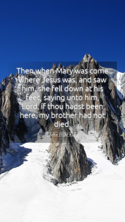 Picture 05 - John 11:32 KJV Mobile Phone Wallpaper - Then when Mary was come where Jesus was, and saw - Mobile Bible Verse Wallpaper