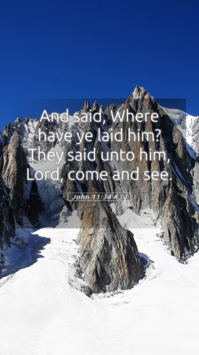 Picture 05 - John 11:34 KJV Mobile Phone Wallpaper - And said, Where have ye laid him? They said unto - Mobile Bible Verse Wallpaper