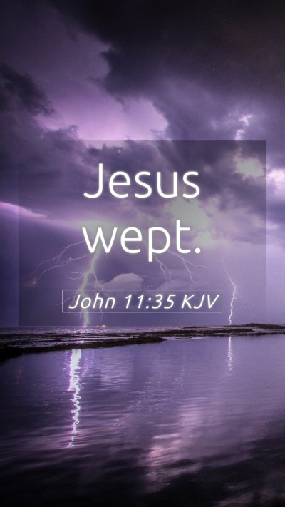 Picture 05 - John 11:35 KJV Mobile Phone Wallpaper - Jesus - Mobile Bible Verse Wallpaper