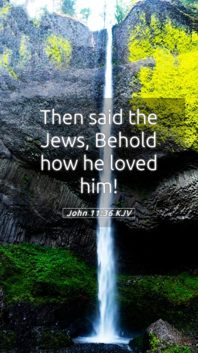 Picture 05 - John 11:36 KJV Mobile Phone Wallpaper - Then said the Jews, Behold how he loved - Mobile Bible Verse Wallpaper