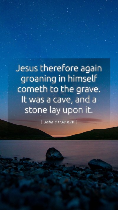 Picture 05 - John 11:38 KJV Mobile Phone Wallpaper - Jesus therefore again groaning in himself cometh - Mobile Bible Verse Wallpaper