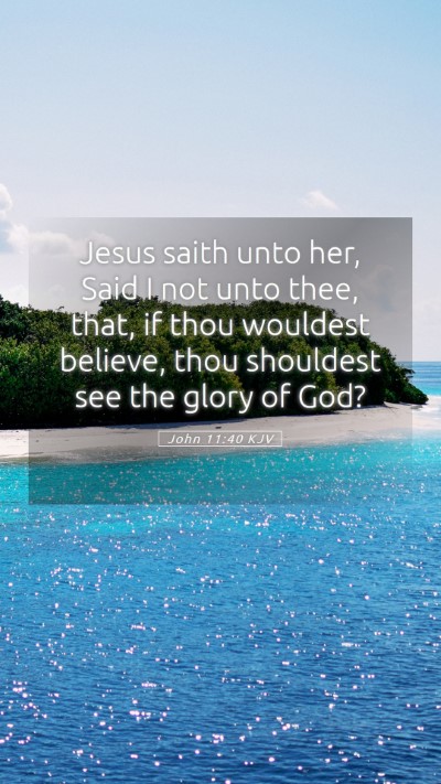 Picture 05 - John 11:40 KJV Mobile Phone Wallpaper - Jesus saith unto her, Said I not unto thee, that, - Mobile Bible Verse Wallpaper
