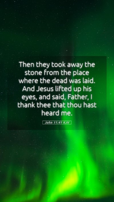 Picture 05 - John 11:41 KJV Mobile Phone Wallpaper - Then they took away the stone from the place - Mobile Bible Verse Wallpaper