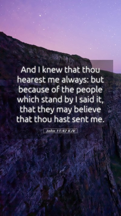 Picture 05 - John 11:42 KJV Mobile Phone Wallpaper - And I knew that thou hearest me always: but - Mobile Bible Verse Wallpaper