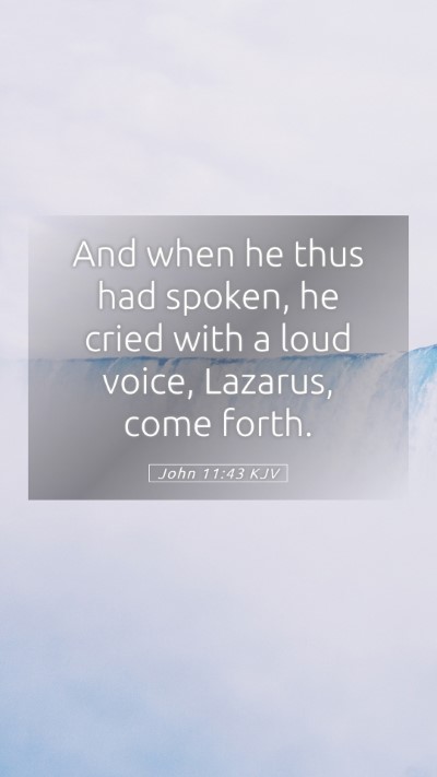 Picture 05 - John 11:43 KJV Mobile Phone Wallpaper - And when he thus had spoken, he cried with a loud - Mobile Bible Verse Wallpaper