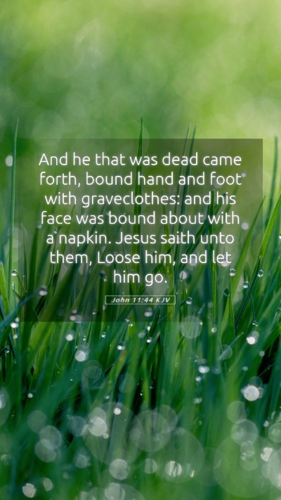 Picture 05 - John 11:44 KJV Mobile Phone Wallpaper - And he that was dead came forth, bound hand and - Mobile Bible Verse Wallpaper