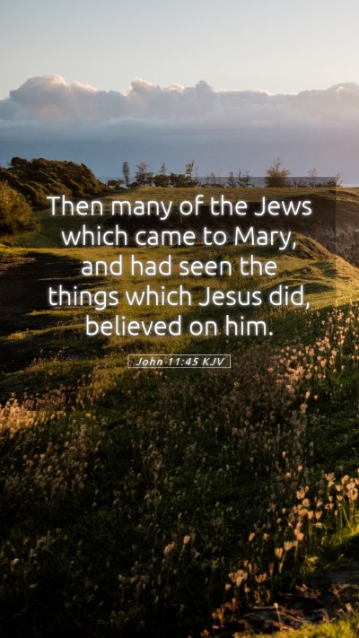 Picture 05 - John 11:45 KJV Mobile Phone Wallpaper - Then many of the Jews which came to Mary, and had - Mobile Bible Verse Wallpaper