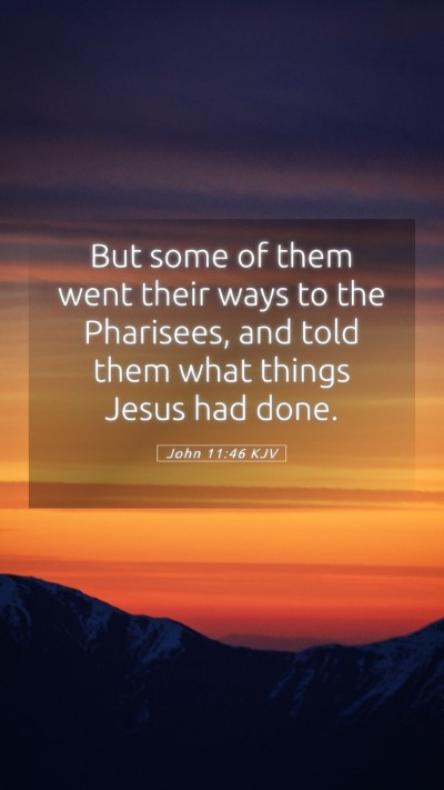 Picture 05 - John 11:46 KJV Mobile Phone Wallpaper - But some of them went their ways to the - Mobile Bible Verse Wallpaper