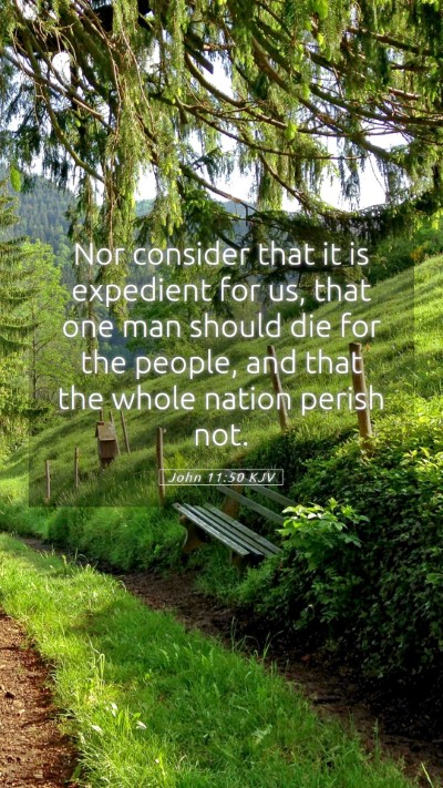 Picture 05 - John 11:50 KJV Mobile Phone Wallpaper - Nor consider that it is expedient for us, that - Mobile Bible Verse Wallpaper