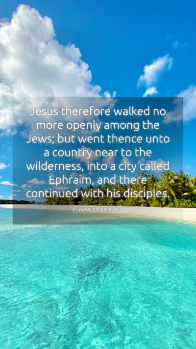 Picture 05 - John 11:54 KJV Mobile Phone Wallpaper - Jesus therefore walked no more openly among the - Mobile Bible Verse Wallpaper