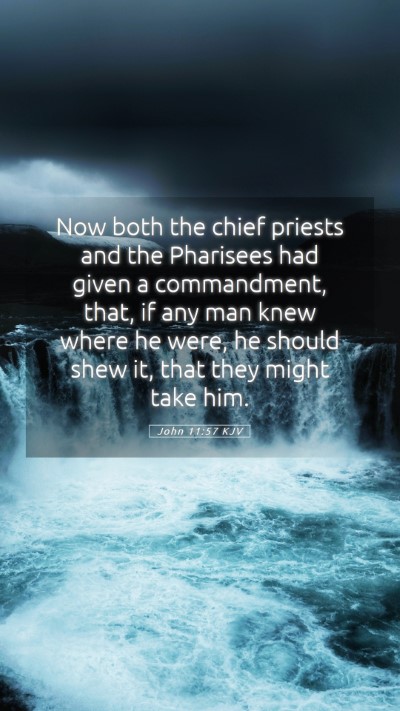 Picture 05 - John 11:57 KJV Mobile Phone Wallpaper - Now both the chief priests and the Pharisees had - Mobile Bible Verse Wallpaper