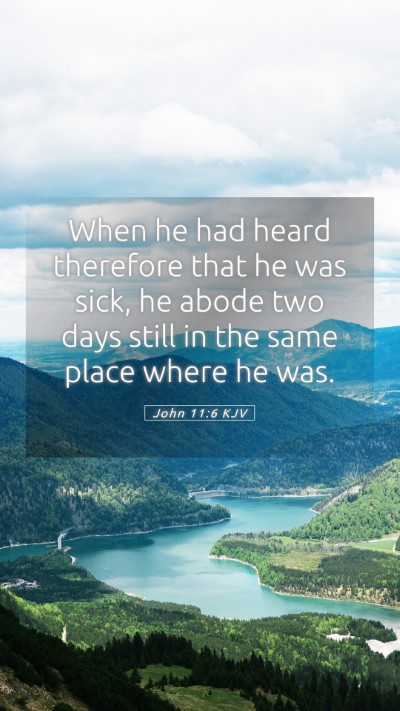 Picture 05 - John 11:6 KJV Mobile Phone Wallpaper - When he had heard therefore that he was sick, he - Mobile Bible Verse Wallpaper