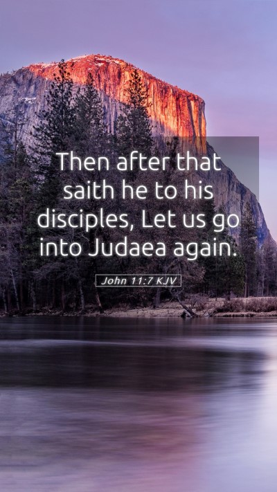 Picture 05 - John 11:7 KJV Mobile Phone Wallpaper - Then after that saith he to his disciples, Let us - Mobile Bible Verse Wallpaper