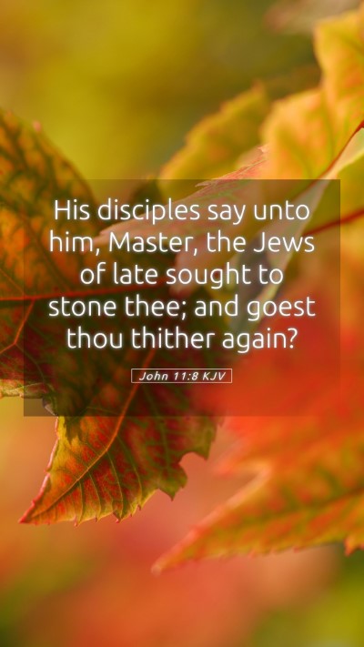 Picture 05 - John 11:8 KJV Mobile Phone Wallpaper - His disciples say unto him, Master, the Jews of - Mobile Bible Verse Wallpaper