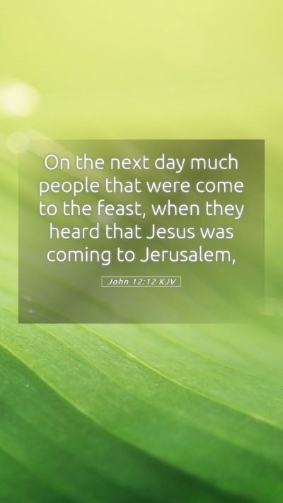 Picture 05 - John 12:12 KJV Mobile Phone Wallpaper - On the next day much people that were come to the - Mobile Bible Verse Wallpaper