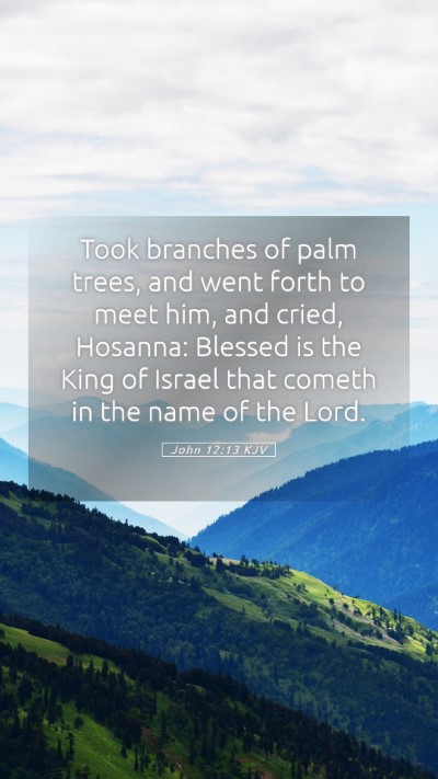 Picture 05 - John 12:13 KJV Mobile Phone Wallpaper - Took branches of palm trees, and went forth to - Mobile Bible Verse Wallpaper