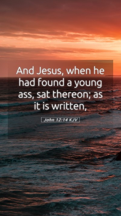 Picture 05 - John 12:14 KJV Mobile Phone Wallpaper - And Jesus, when he had found a young ass, sat - Mobile Bible Verse Wallpaper