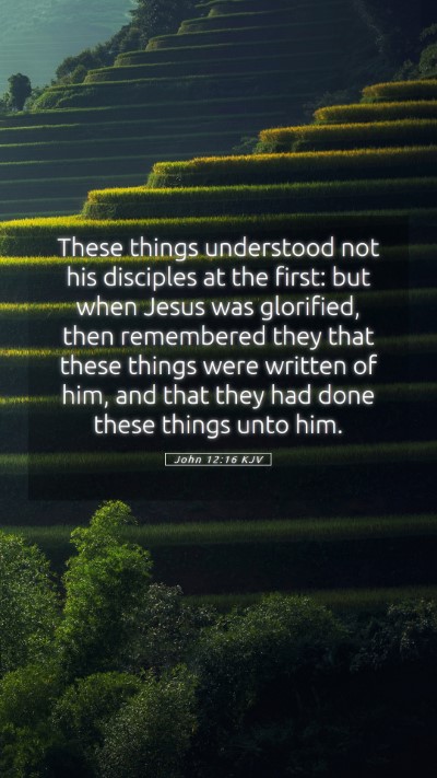 Picture 05 - John 12:16 KJV Mobile Phone Wallpaper - These things understood not his disciples at the - Mobile Bible Verse Wallpaper