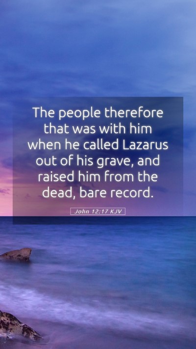 Picture 05 - John 12:17 KJV Mobile Phone Wallpaper - The people therefore that was with him when he - Mobile Bible Verse Wallpaper