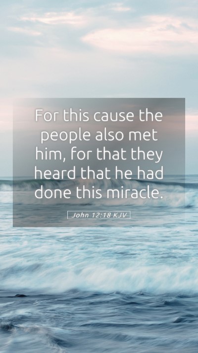 Picture 05 - John 12:18 KJV Mobile Phone Wallpaper - For this cause the people also met him, for that - Mobile Bible Verse Wallpaper