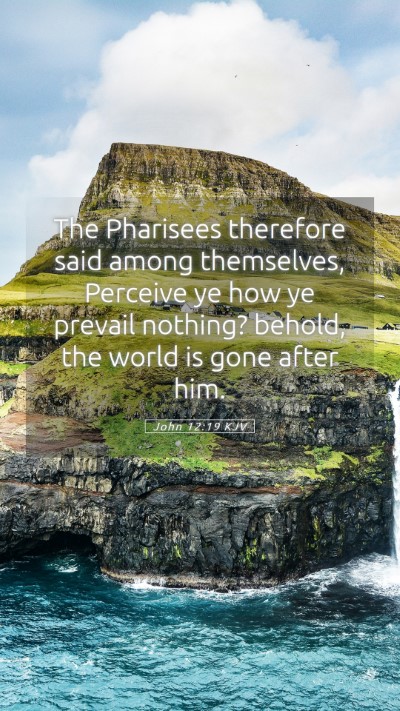 Picture 05 - John 12:19 KJV Mobile Phone Wallpaper - The Pharisees therefore said among themselves, - Mobile Bible Verse Wallpaper