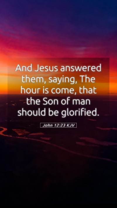 Picture 05 - John 12:23 KJV Mobile Phone Wallpaper - And Jesus answered them, saying, The hour is - Mobile Bible Verse Wallpaper