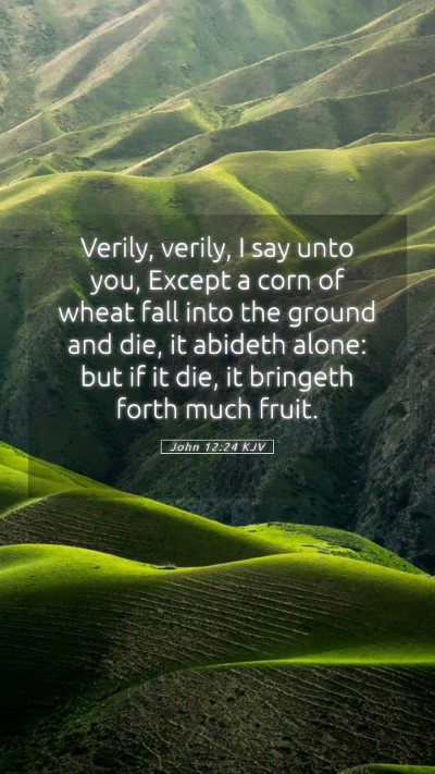 Picture 05 - John 12:24 KJV Mobile Phone Wallpaper - Verily, verily, I say unto you, Except a corn of - Mobile Bible Verse Wallpaper