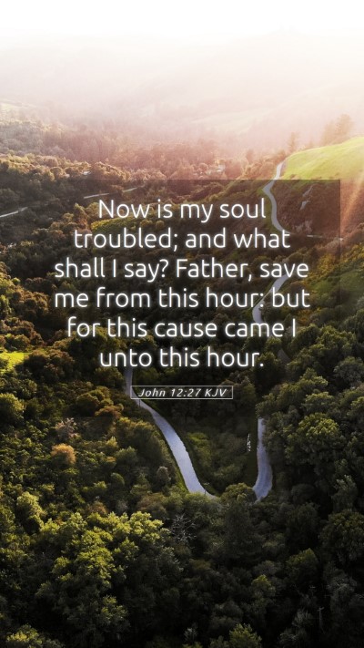 Picture 05 - John 12:27 KJV Mobile Phone Wallpaper - Now is my soul troubled; and what shall I say? - Mobile Bible Verse Wallpaper