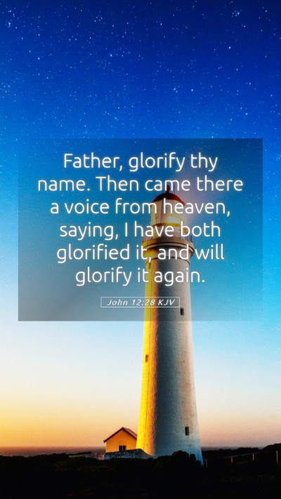 Picture 05 - John 12:28 KJV Mobile Phone Wallpaper - Father, glorify thy name. Then came there a voice - Mobile Bible Verse Wallpaper