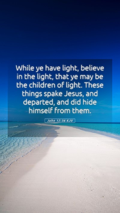 Picture 05 - John 12:36 KJV Mobile Phone Wallpaper - While ye have light, believe in the light, that - Mobile Bible Verse Wallpaper