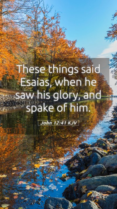 Picture 05 - John 12:41 KJV Mobile Phone Wallpaper - These things said Esaias, when he saw his glory, - Mobile Bible Verse Wallpaper