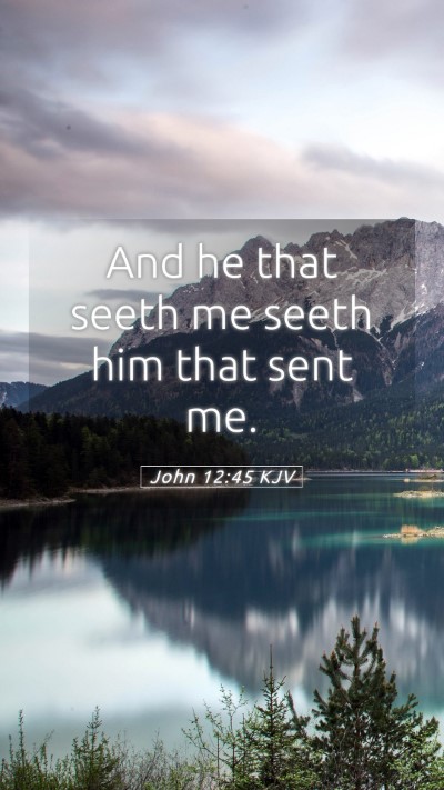 Picture 05 - John 12:45 KJV Mobile Phone Wallpaper - And he that seeth me seeth him that sent - Mobile Bible Verse Wallpaper