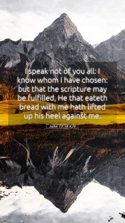 Picture 05 - John 13:18 KJV Mobile Phone Wallpaper - I speak not of you all: I know whom I have - Mobile Bible Verse Wallpaper