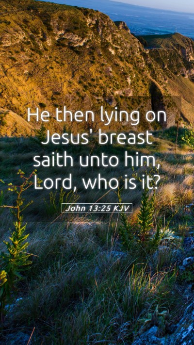 Picture 05 - John 13:25 KJV Mobile Phone Wallpaper - He then lying on Jesus' breast saith unto him, - Mobile Bible Verse Wallpaper