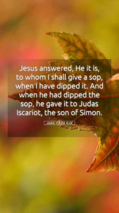 Picture 05 - John 13:26 KJV Mobile Phone Wallpaper - Jesus answered, He it is, to whom I shall give a - Mobile Bible Verse Wallpaper