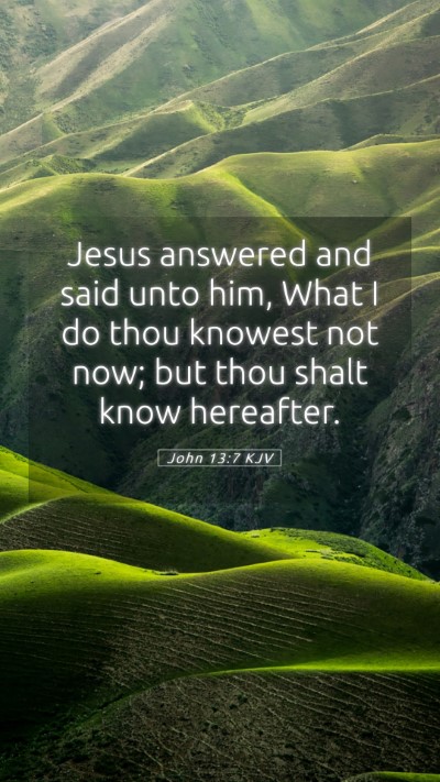 Picture 05 - John 13:7 KJV Mobile Phone Wallpaper - Jesus answered and said unto him, What I do thou - Mobile Bible Verse Wallpaper