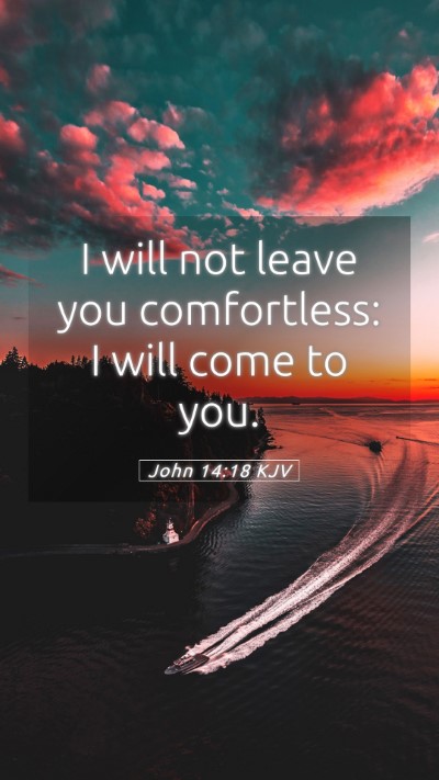 Picture 05 - John 14:18 KJV Mobile Phone Wallpaper - I will not leave you comfortless: I will come to - Mobile Bible Verse Wallpaper