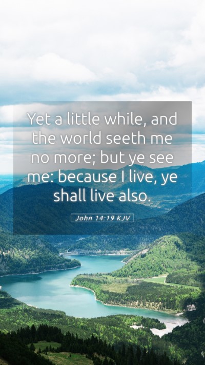Picture 05 - John 14:19 KJV Mobile Phone Wallpaper - Yet a little while, and the world seeth me no - Mobile Bible Verse Wallpaper