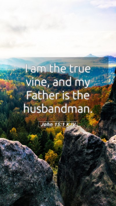 Picture 05 - John 15:1 KJV Mobile Phone Wallpaper - I am the true vine, and my Father is the - Mobile Bible Verse Wallpaper