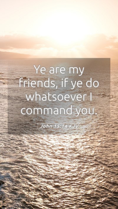 Picture 05 - John 15:14 KJV Mobile Phone Wallpaper - Ye are my friends, if ye do whatsoever I command - Mobile Bible Verse Wallpaper