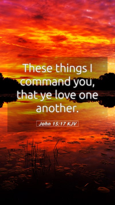 Picture 05 - John 15:17 KJV Mobile Phone Wallpaper - These things I command you, that ye love one - Mobile Bible Verse Wallpaper