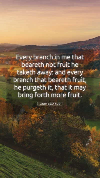 Picture 05 - John 15:2 KJV Mobile Phone Wallpaper - Every branch in me that beareth not fruit he - Mobile Bible Verse Wallpaper