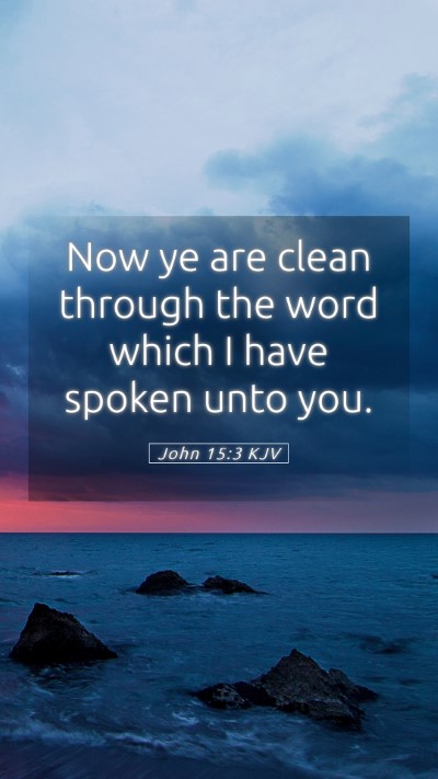 Picture 05 - John 15:3 KJV Mobile Phone Wallpaper - Now ye are clean through the word which I have - Mobile Bible Verse Wallpaper