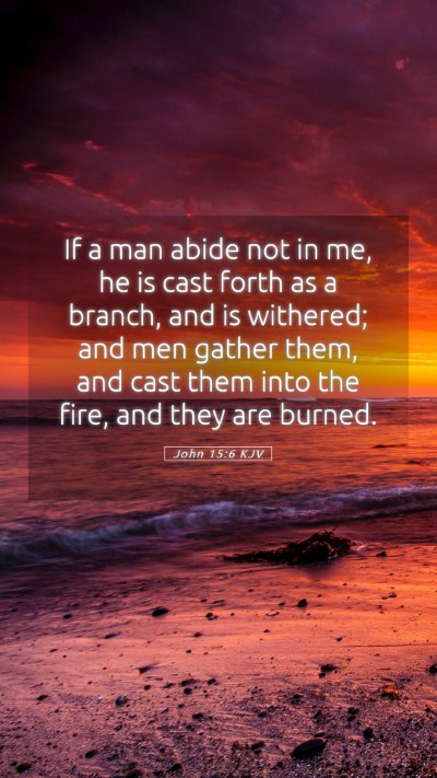 Picture 05 - John 15:6 KJV Mobile Phone Wallpaper - If a man abide not in me, he is cast forth as a - Mobile Bible Verse Wallpaper