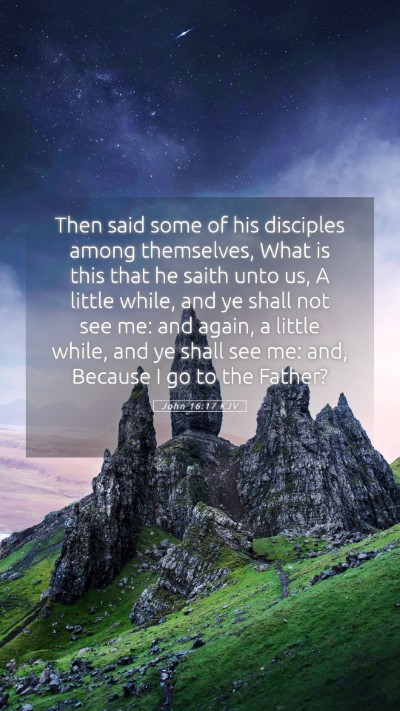Picture 05 - John 16:17 KJV Mobile Phone Wallpaper - Then said some of his disciples among themselves, - Mobile Bible Verse Wallpaper