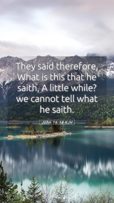 Picture 05 - John 16:18 KJV Mobile Phone Wallpaper - They said therefore, What is this that he saith, - Mobile Bible Verse Wallpaper